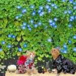 ご挨拶 「おかげさまで14周年🍀」