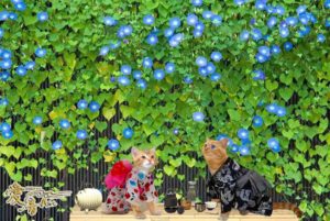 ご挨拶 「おかげさまで14周年🍀」