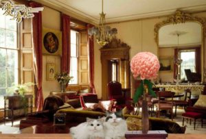 晩秋は”華”と”花” 菊の花言葉は「高貴・高尚」「甘い夢」