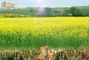 つくしの花言葉は「努力・向上心・意外・驚き」全部入り🎁💓