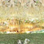 藤の花言葉は、 『忠実な』『優しさ』『歓迎』