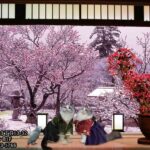 2023　年　愛音　如月のお便り