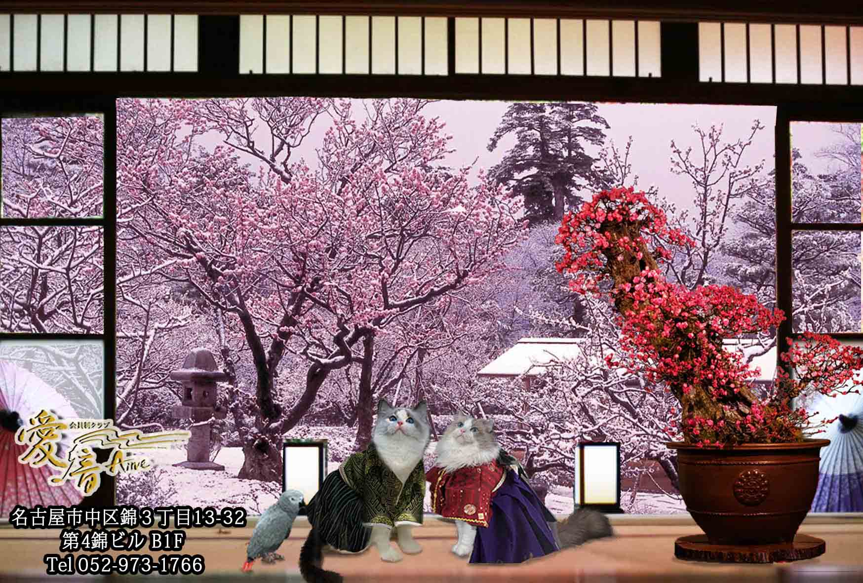 2023 年 愛音 如月のお便り