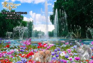 2023年　愛音　卯月のお便り