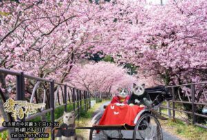 2023年　愛音　弥生のお便り