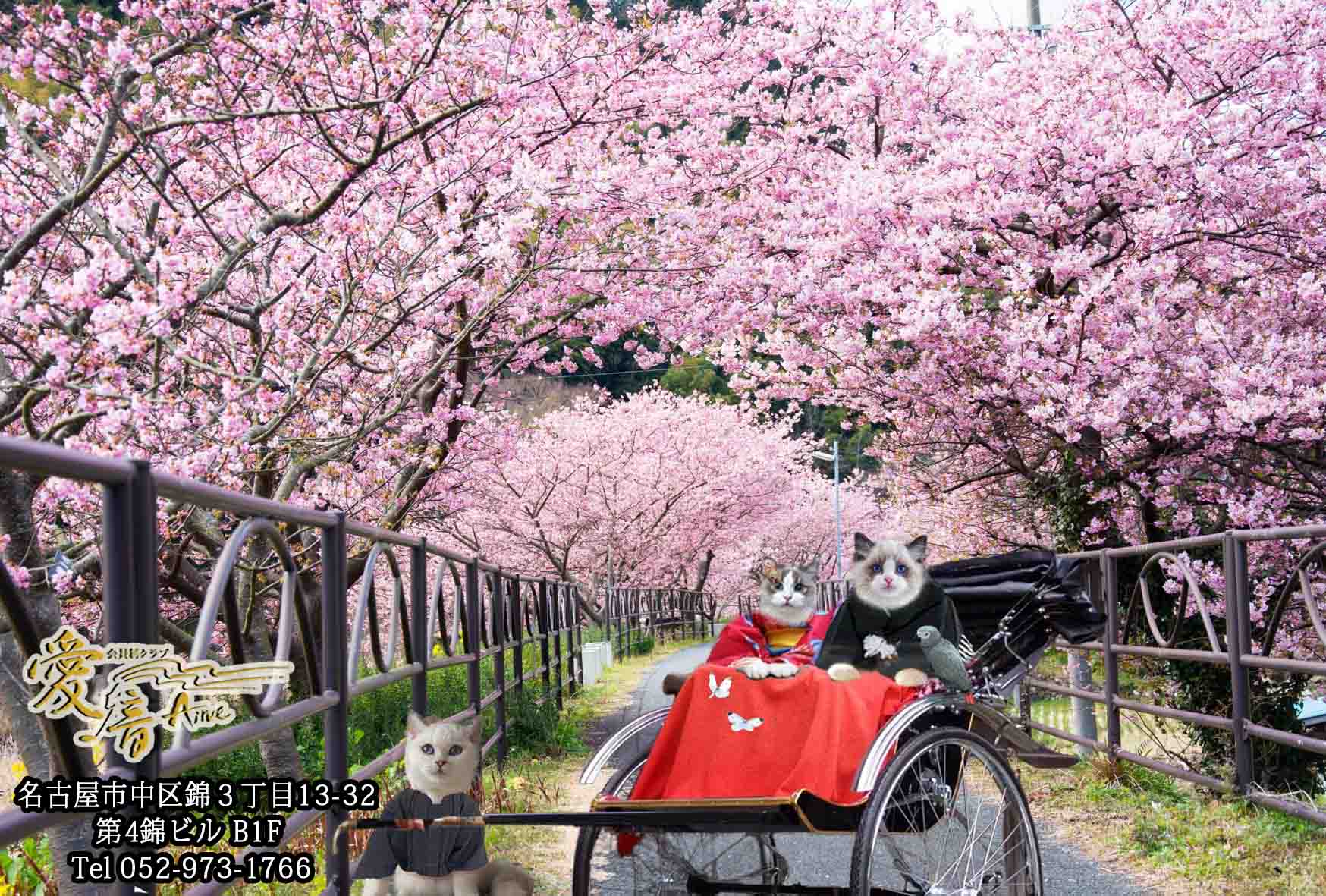 2023年 愛音 弥生のお便り