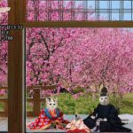 2023年　愛音　雛祭りのお報せ