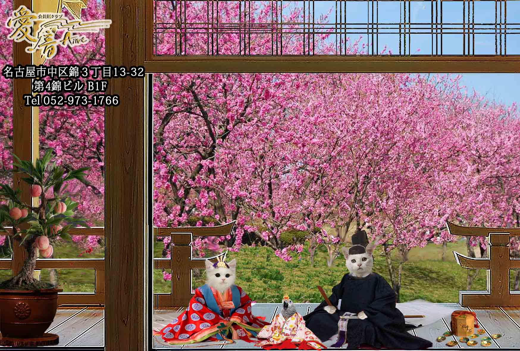 2023年 愛音 雛祭りのお報せ