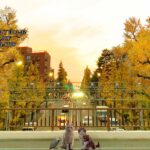 2023年　愛音　師走のお便り