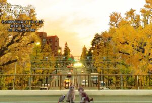 2023年　愛音　師走のお便り