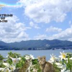 2023年　愛音　文月のお便り