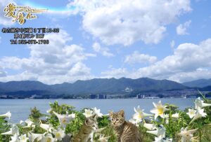 2023年　愛音　文月のお便り