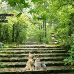 2023年　愛音　水無月のお便り