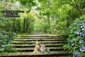 2023年　愛音　水無月のお便り