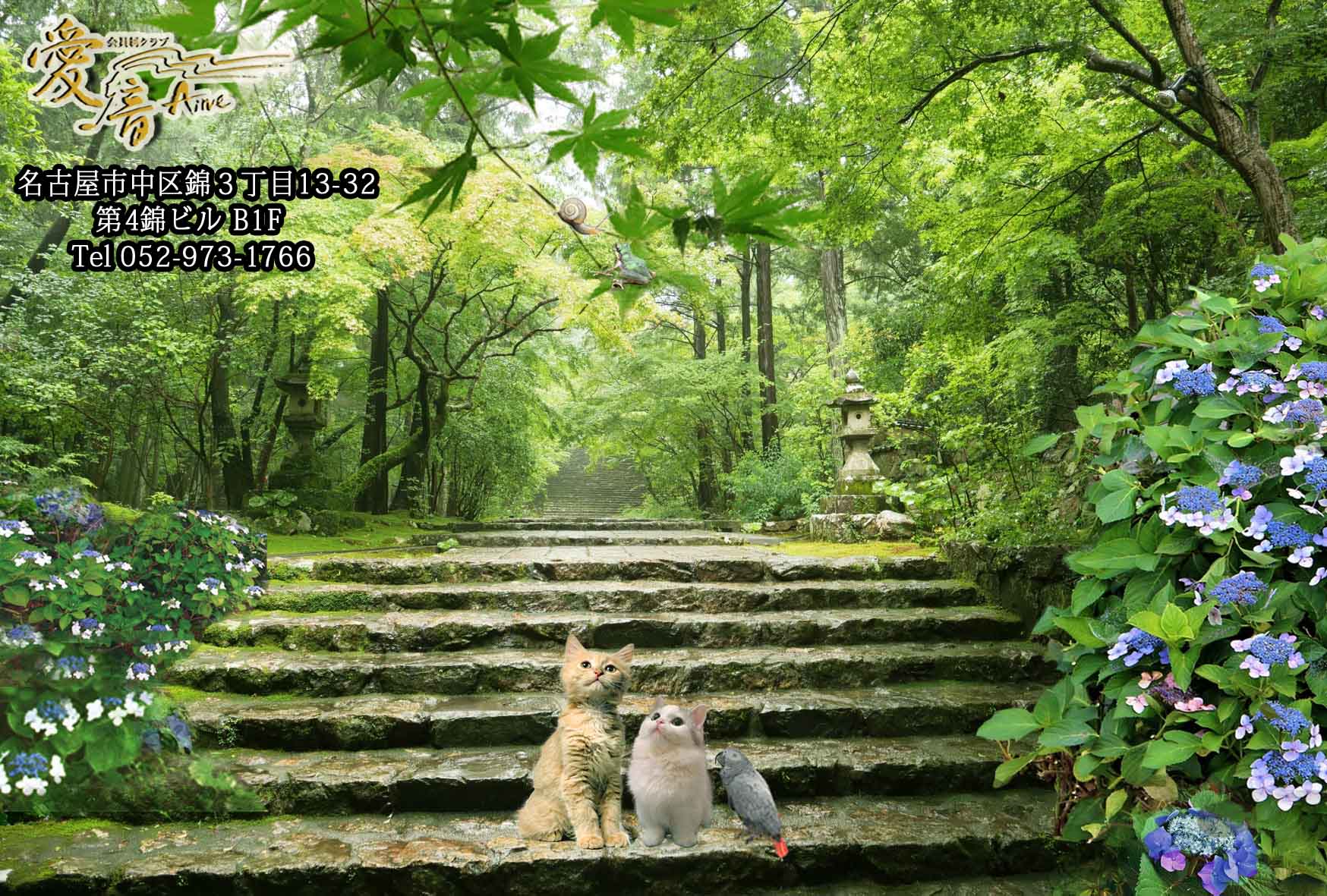 2023年　愛音　水無月のお便り