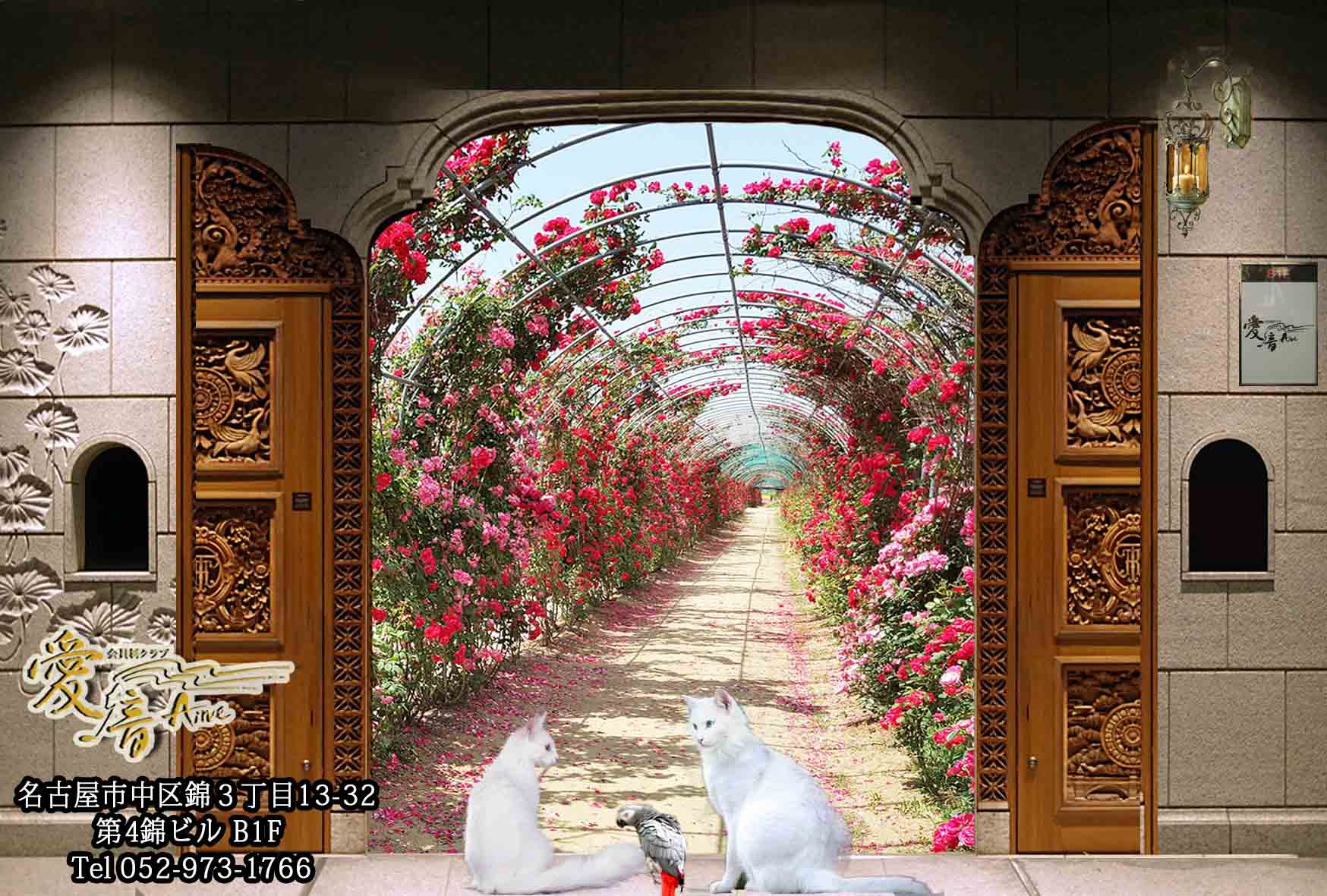 2023年 愛音 皐月のお便り