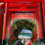 2023年　愛音　葉月のお便り