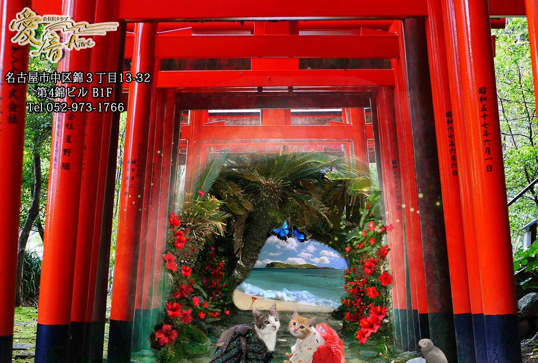 2023年　愛音　葉月のお便り