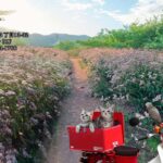 2023年　愛音　長月のお便り