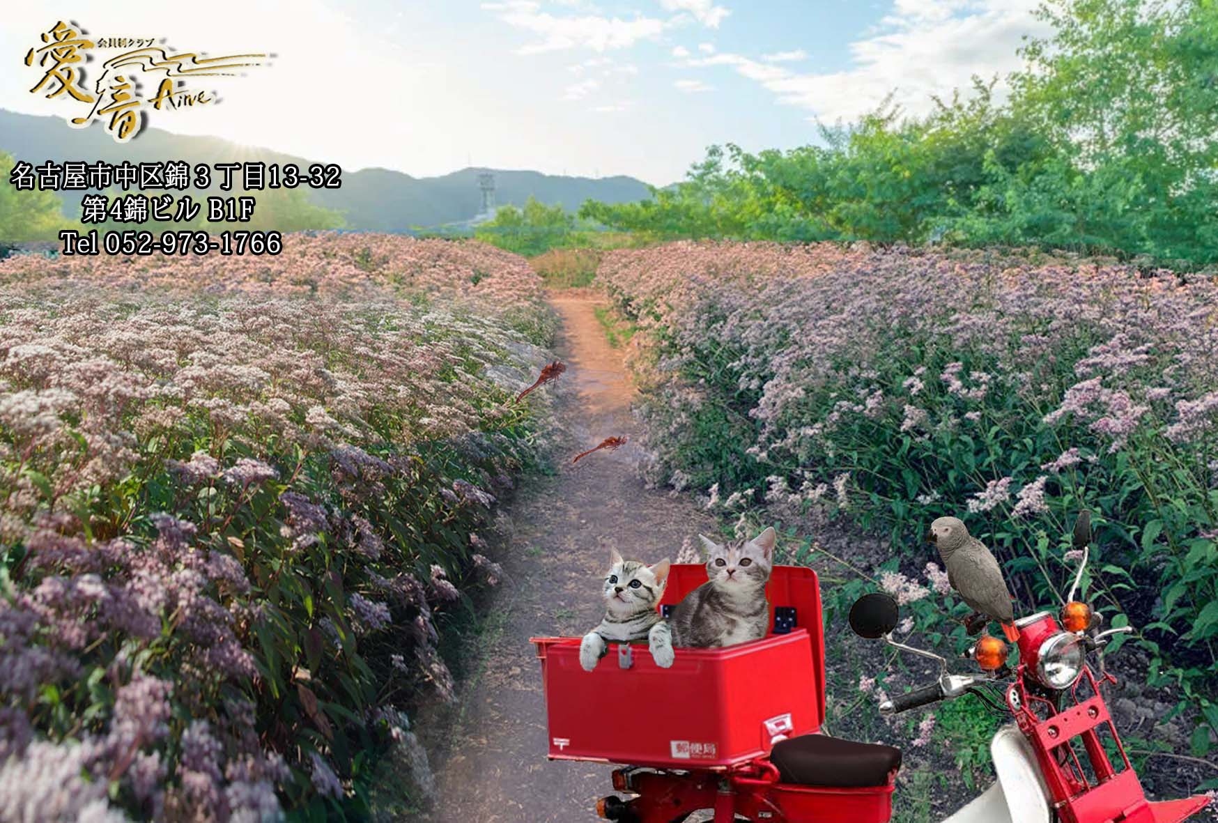 2023年　愛音　長月のお便り