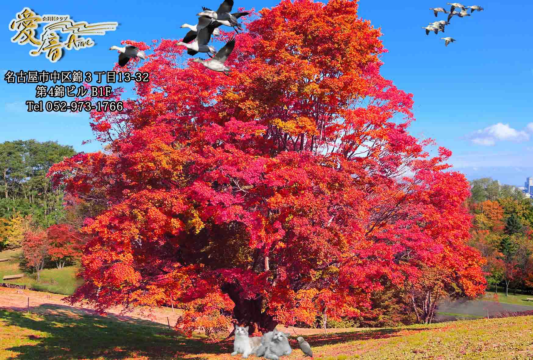 2023年　愛音　霜月のお便り